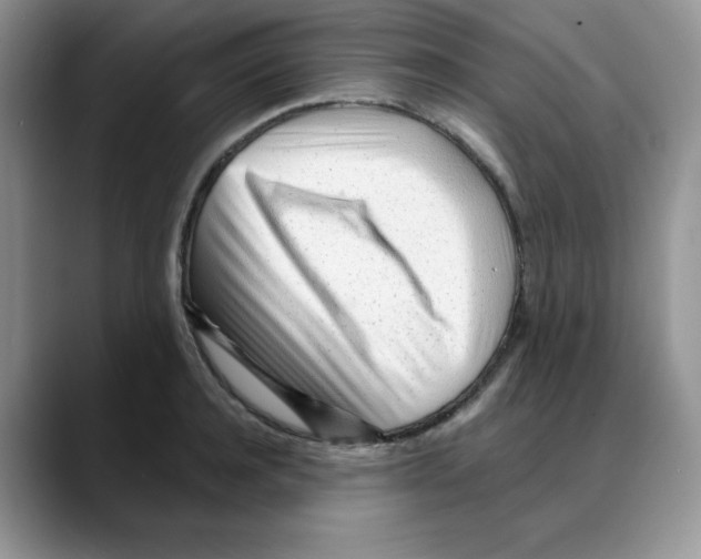 X0000088040944200706081606