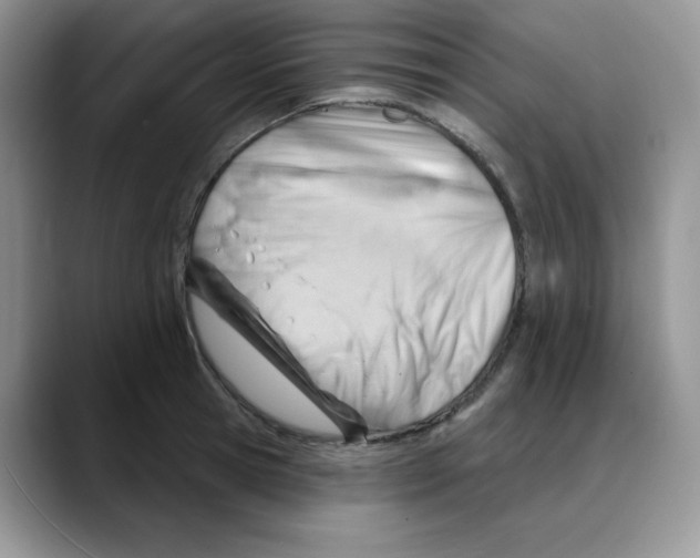 X0000088040945200706081606