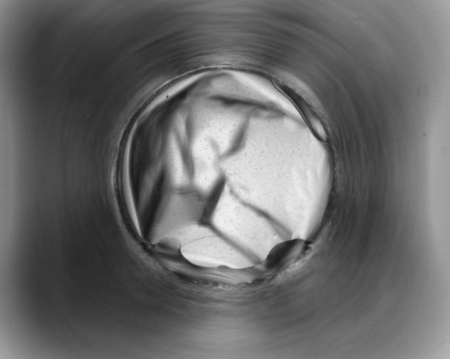 X0000088040946200706081606