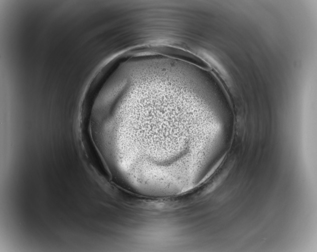 X0000088040948200706081606