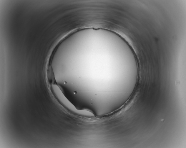 X0000088040949200706081606