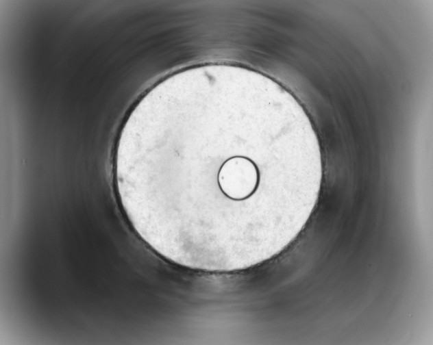 X0000088040950200706081606