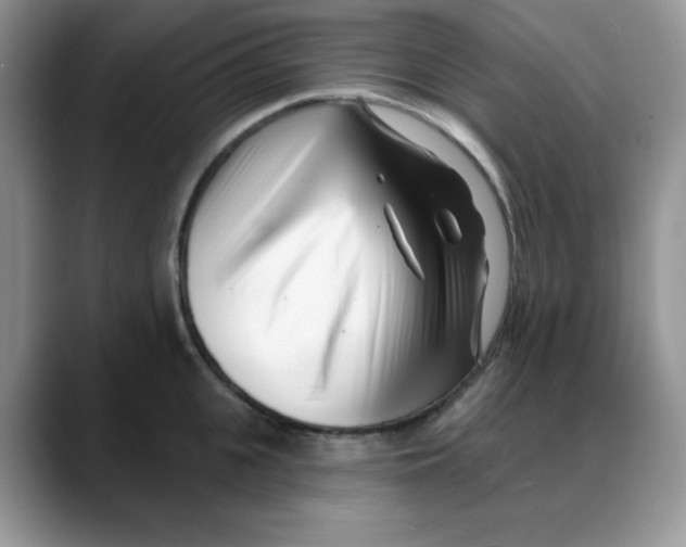 X0000088040951200706081606