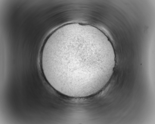 X0000088040952200706081606