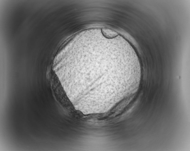 X0000088040953200706081606