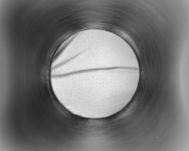 X0000088040954200706081606