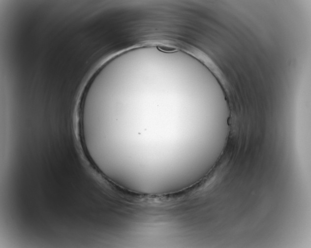 X0000088040955200706081607