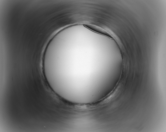 X0000088040956200706081607