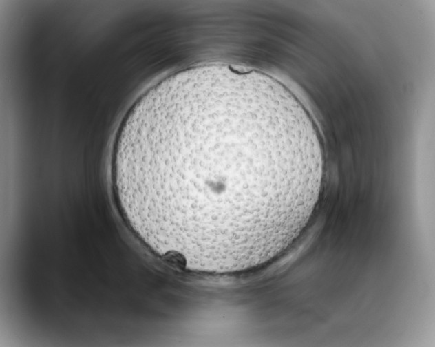 X0000088040957200706081607