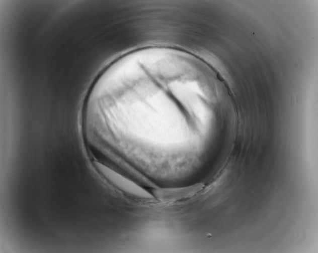 X0000088040958200706081607