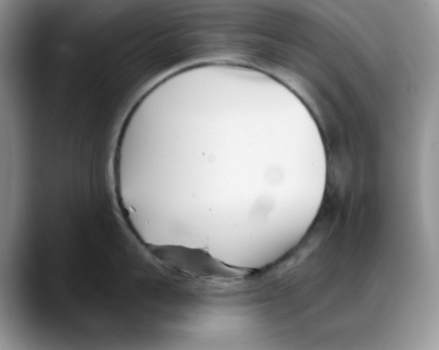 X0000088040959200706081607