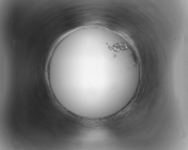 X0000088040960200706081607