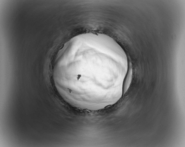 X0000088040961200706081606