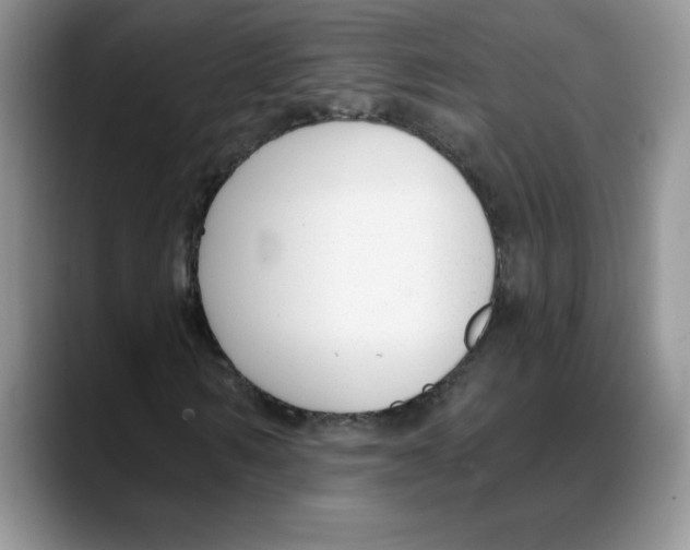 X0000088040962200706081606