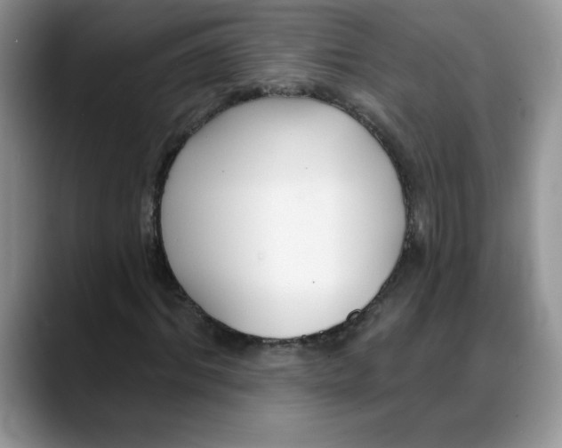 X0000088040964200706081606