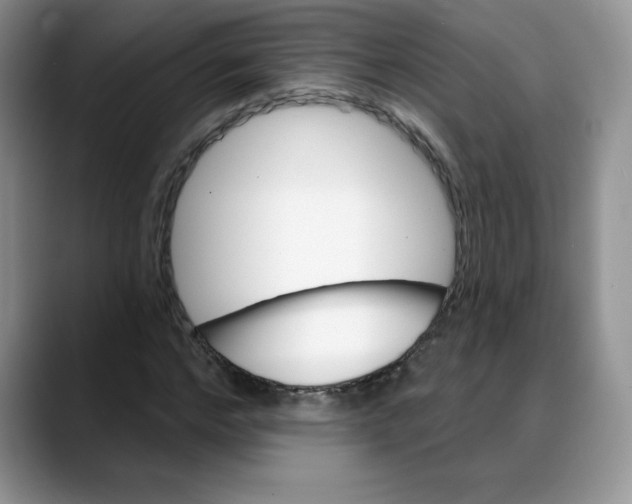 X0000088040968200706081606