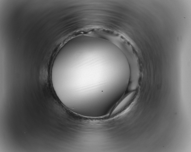 X0000088040969200706081606