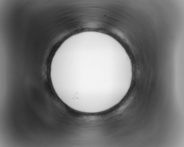 X0000088040970200706081606