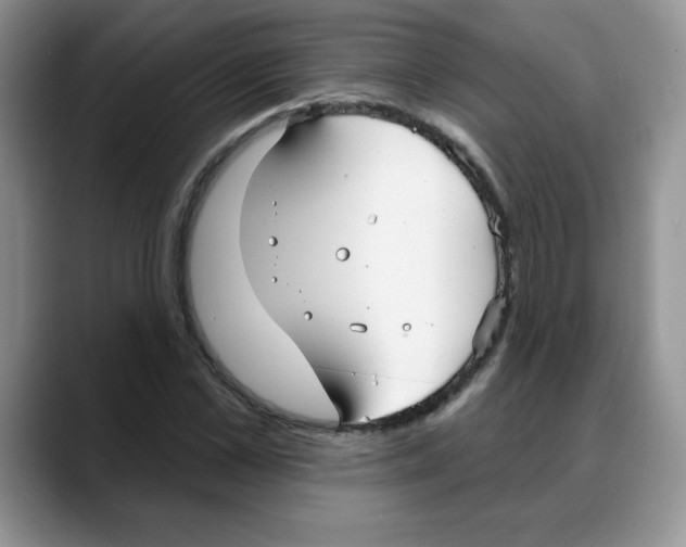 X0000088040973200706081606