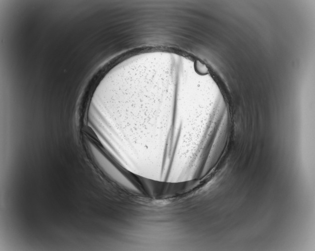 X0000088040975200706081606