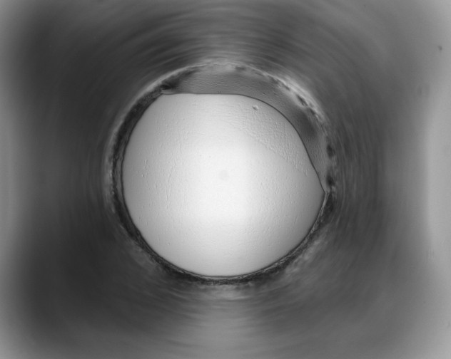 X0000088040976200706081606