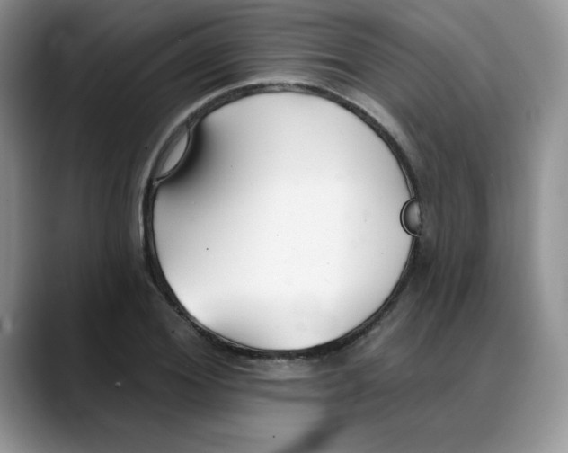 X0000088040980200706081606