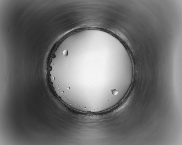 X0000088040981200706081606