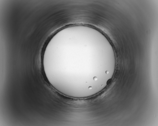 X0000088040982200706081606