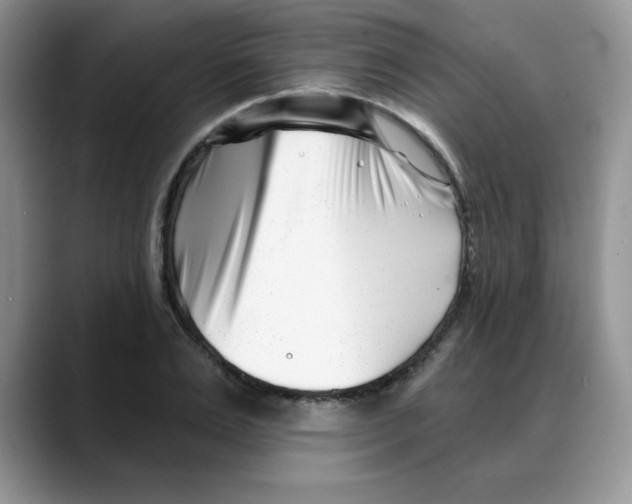 X0000088040983200706081606