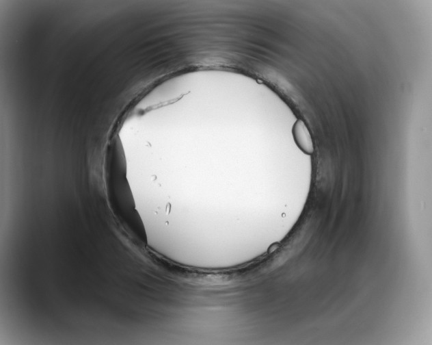 X0000088040986200706081606