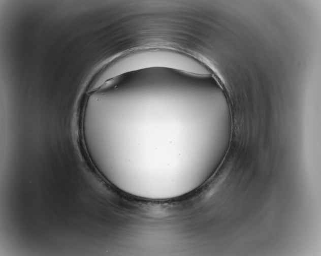 X0000088040987200706081606