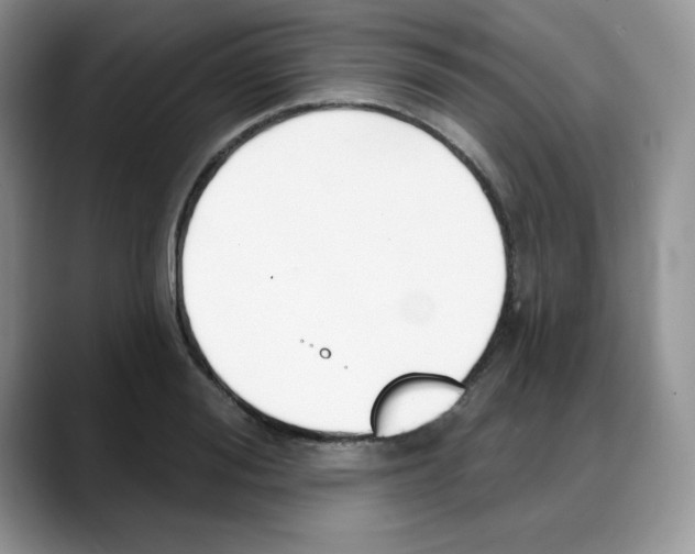 X0000088040988200706081606