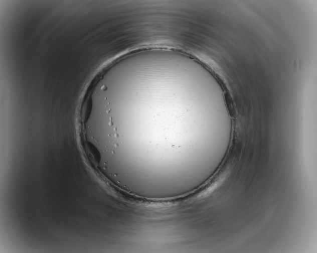 X0000088040989200706081606