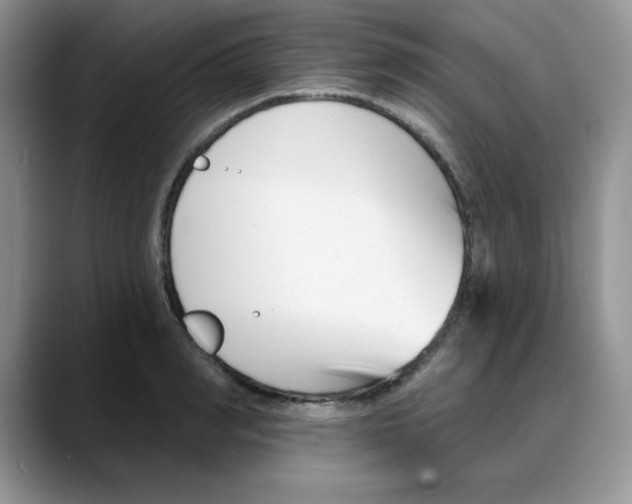 X0000088040990200706081606