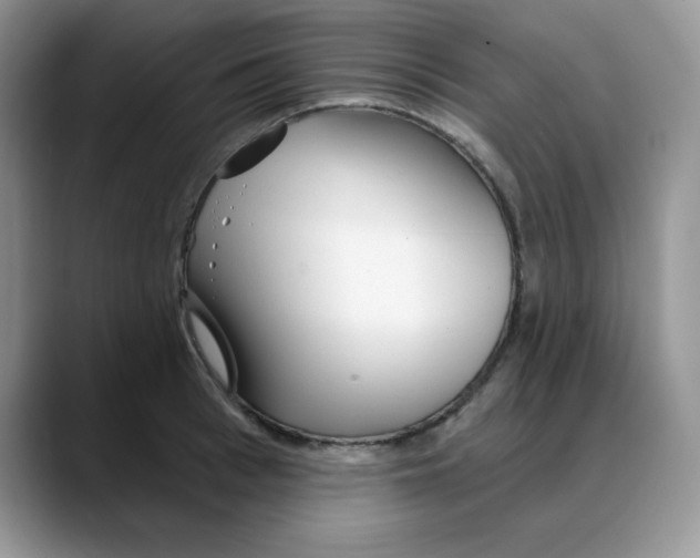 X0000088040993200706081606