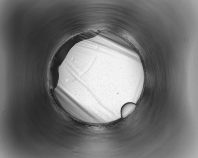 X0000088040994200706081606