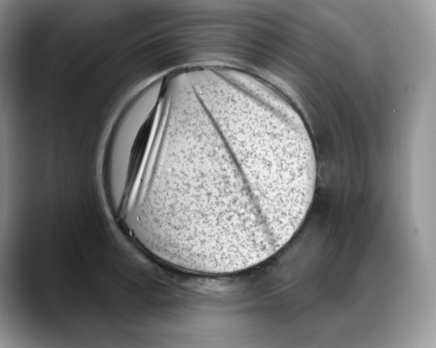 X0000088040995200706081606