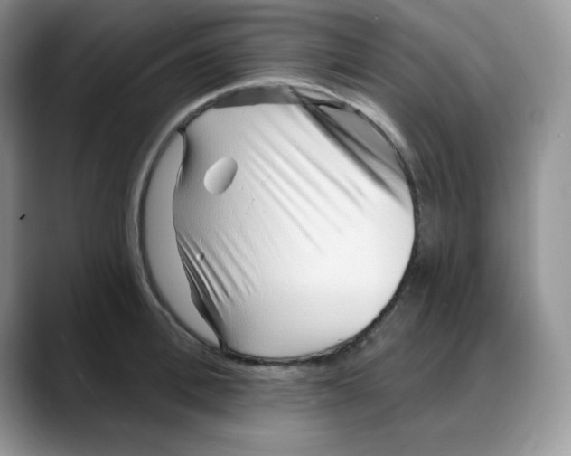 X0000088040996200706081605