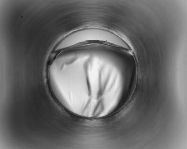 X0000088040997200706081605