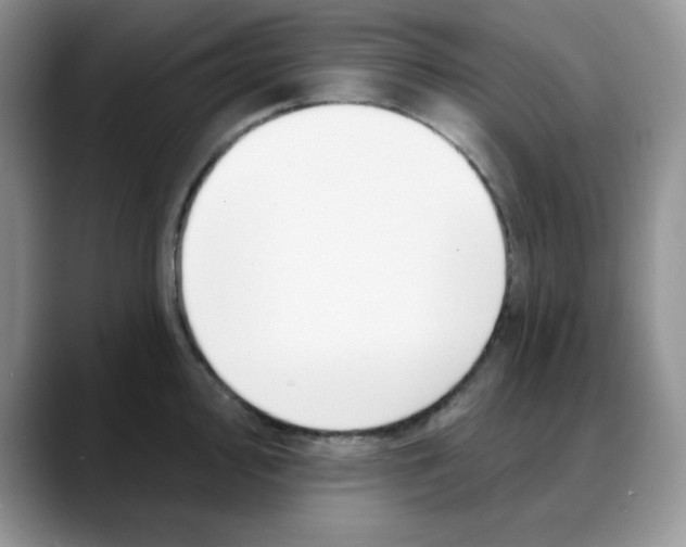 X0000088041000200706081605