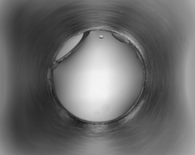 X0000088041001200706081605