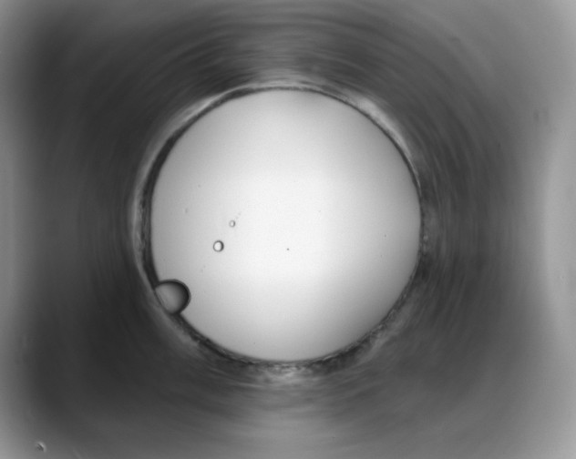 X0000088041003200706081605