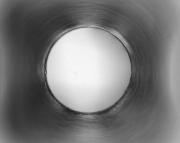 X0000088041004200706081605