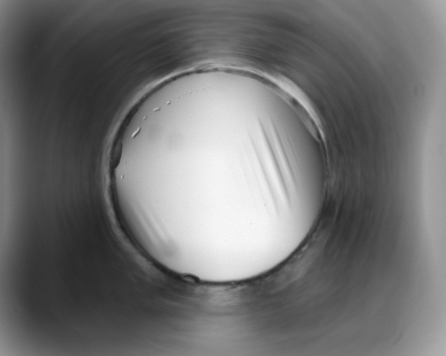 X0000088041005200706081605