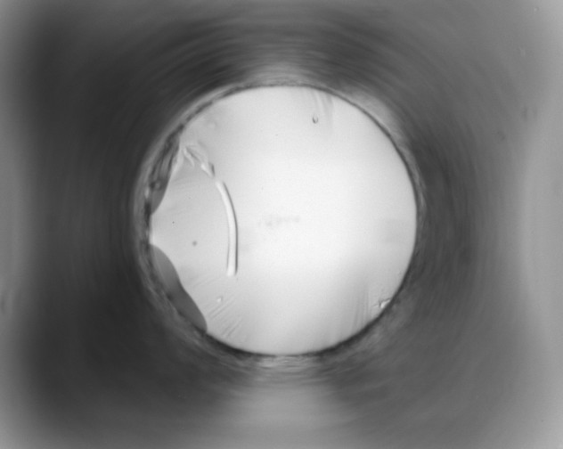 X0000088041008200706081605