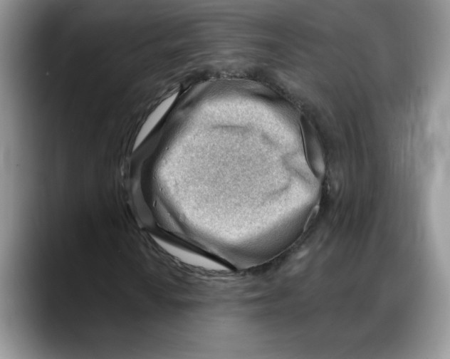 X0000088041010200706081605