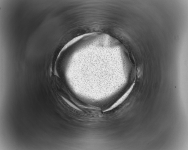 X0000088041011200706081605