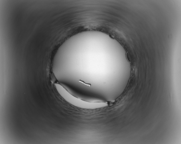 X0000088041012200706081605