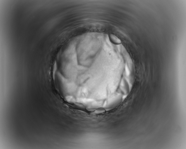 X0000088041013200706081605