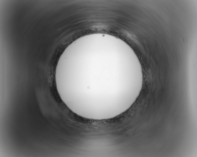 X0000088041015200706081605